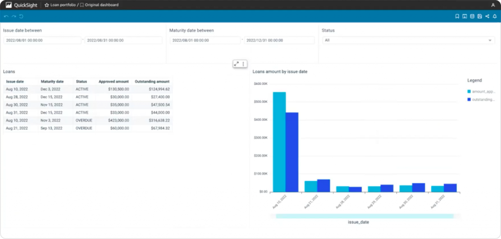 Loan portfolio report